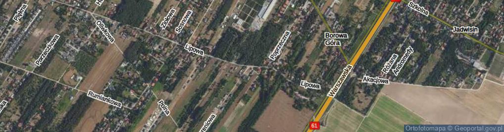 Zdjęcie satelitarne Lipowa ul.